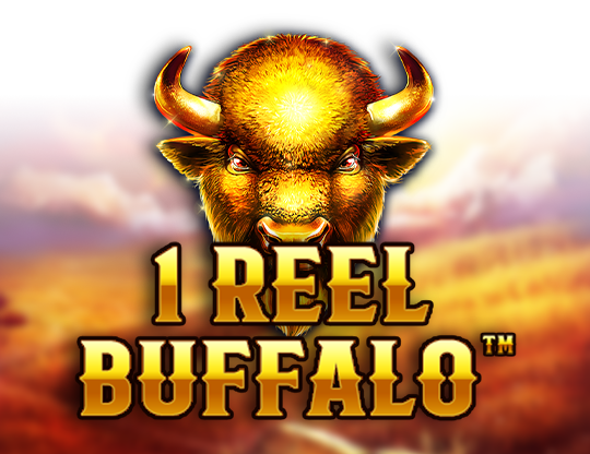 A Full Overview on Exactly How to Play Buffalo King Megaways Slot