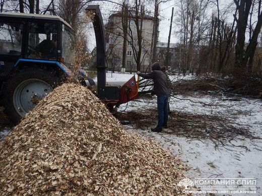  Выбор измельчителя ветви двора 